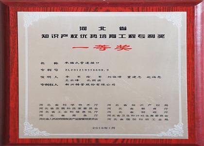 河北省知识产(chǎn)权优势培育工(gōng)程专利奖